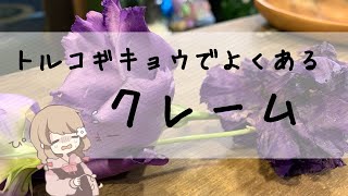 切花のトルコギキョウで気をつけるべき２つのポイント