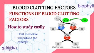ALLIED HEALTH SCIENCES | CLOTTING FACTORS | It's function and easy way to study well |