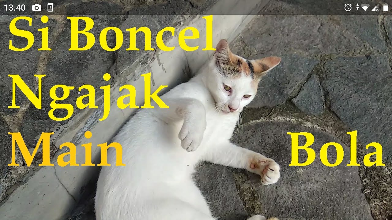 Si Boncel Mengajak Bermain Bola - YouTube