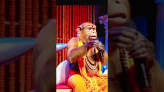 Watch Full Video In Last Climax