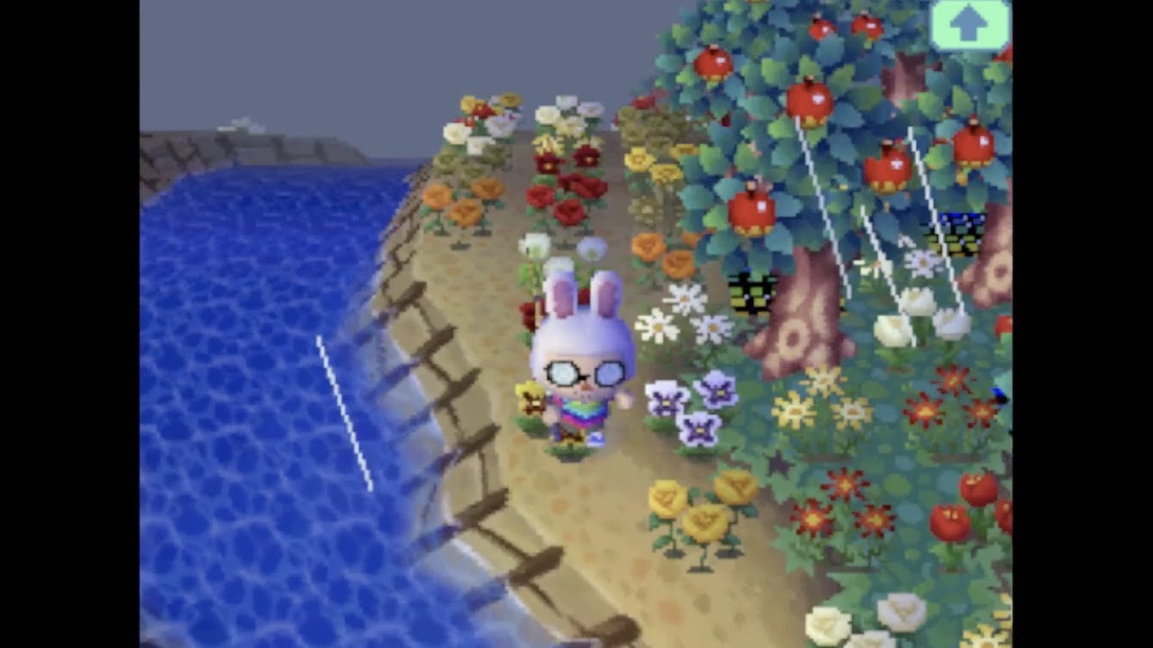 [ROM] Animal Crossing Wild World (Bonus Day 7) "Don't Fish in a