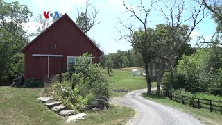 Kampung Amerika: Dolan Menyang Desa Delaplane, Virginia
