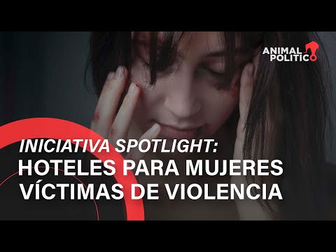 Video: El Departamento De Seguridad Pública De Essexville Ofrece Refugio Temporal Para Sus Mascotas A Víctimas De Violencia Doméstica