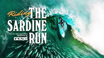 Riding the Sardine Run |  The wildest surfing adventure on Earth