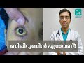 എന്താണ് ബിലിറുബിൻ കൂടാൻ കാരണം? | Bilirubin Meaning, Normal Value & Liver Function Test | Malayalam