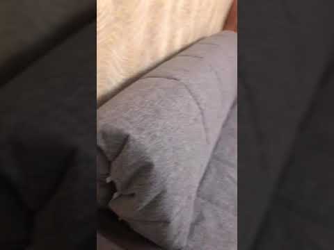 Диван Helix Brera Отзывы фото 18