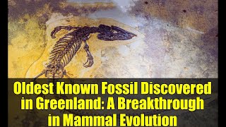 Oldest Known Fossil Discovered in Greenland: A Breakthrough in Mammal Evolution