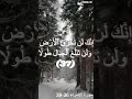 القارئ هيثم الدخين تلاوة خاشعة mp3