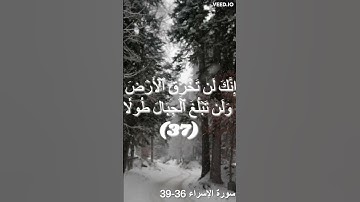 القارئ هيثم الدخين | تلاوة خاشعة