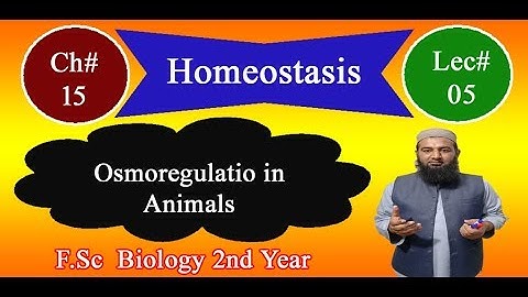 Biology Ch#15 Lecture#05 Osmoregulation in animals  (F.Sc 2nd Year)