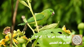 طه الفشني - سورة المائدة من آية ١٢ إلى آية ٢٦ -وَلَقَدْ أَخَذَ اللَّهُ مِيثَاقَ بَنِي إِسْرَائِيلَ
