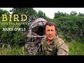 BIRD | WILDLIFE PHOTOGRAPHY UK | Filming & Photographing Barn Owls