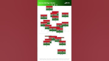 Find the Odd Flag - Part 7 | Test Your Brain | Short