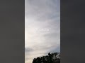 龍神様来たよ🐉ちょびハロ龍神様 天龍🐉🌈369 #パワースポット #33 #波動