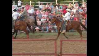 BuckingHorse.AVI