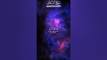 سورة النحل الأية ٧٩  القارئ : ياسر الدوسري