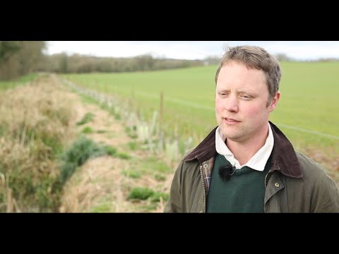 Mitigating risks from free range poultry