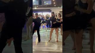 Maria Rosaria Dalmonte