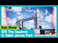 The Squirrel In Saint James Park I 영국 I Key Word I The Adventures Of Miro 시즌1 15회 The Squirrel In Saint James Park I 영국 I Key Word I The Adventures Of Miro 시즌1 15회