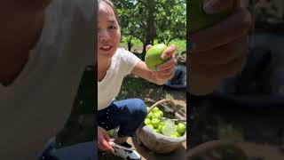 Agriculture Village Fresh Fruit #Viral #Fruit #Shorts #1051