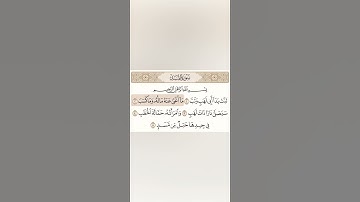سورة المسد بصوت الشيخ سعد الغامدي