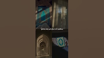 سورة الانعام الاية [114]