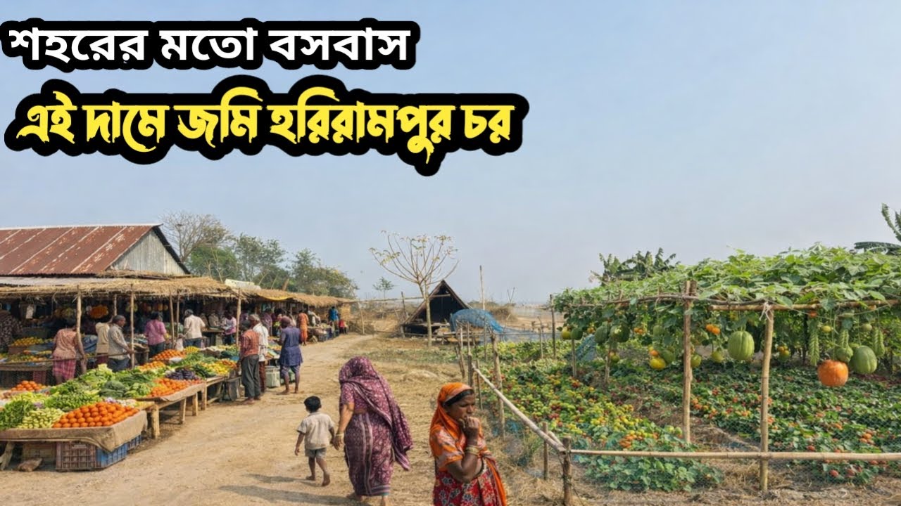 এই দামের জমি মানিকগঞ্জ হরিরামপুর চরে শহরের মতো বসবাস বিদ্যুৎ আছে যাতায়াত ব্যবস্থা ভালো!villageland 