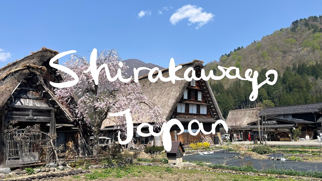 일본 기후현 시라카와고 (+타카야마, 나고야)