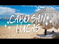 Top 5 Things To Do in Cabo San Lucas
