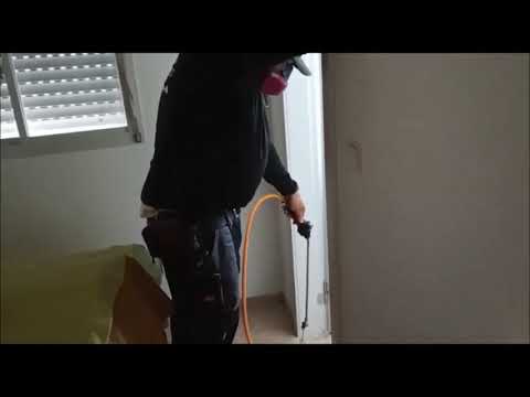 וִידֵאוֹ: כיצד להיפטר מחיפושיות קוז'דוב והזחלים שלהם בדירה + תמונה