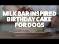 Milk Bar Inspired Birthday Cake for Dogs | Kiki&#39;s Canine Kitchen | Rover.com