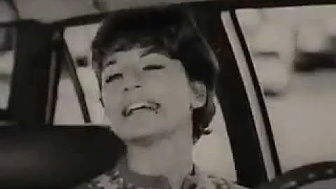 American Motors 66 Rambler Classic Commercial