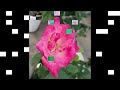 室内楽曲「四季」第二楽章・夏#音楽#室内楽#四季#夏#music #summer #chamber music
