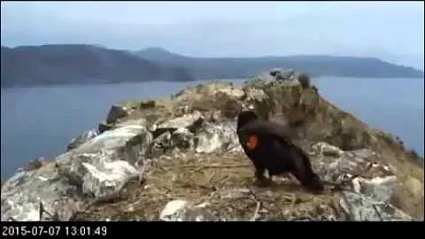 7 7 15 Two Harbors  K-58 Gets 2 Deliveries