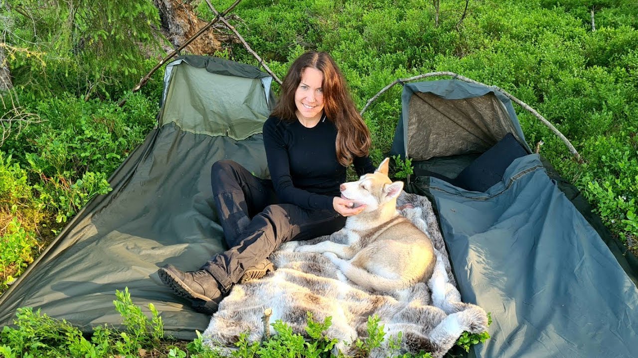 Wilderness Camping With a Siberian Husky Puppy