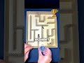 4 Insects vs One Maze | Who Wins? 😳
