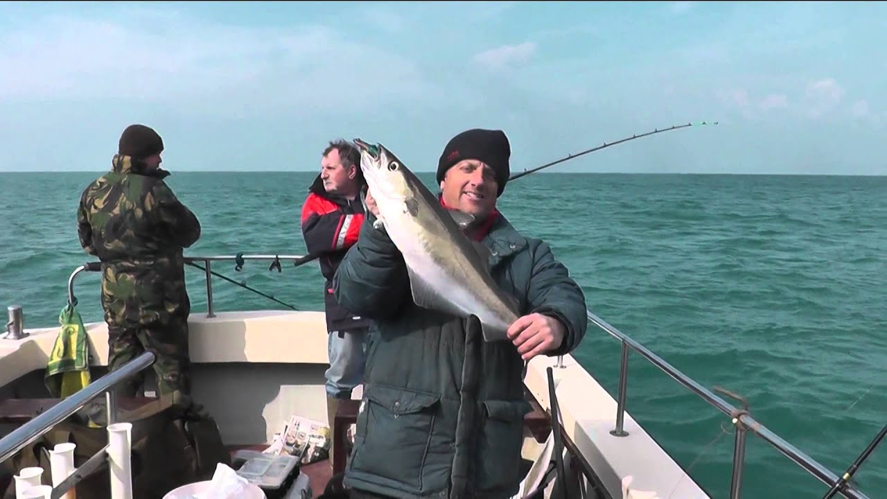 Pollock fishing on Channel Warrior out of West Bay Dorset YouTube