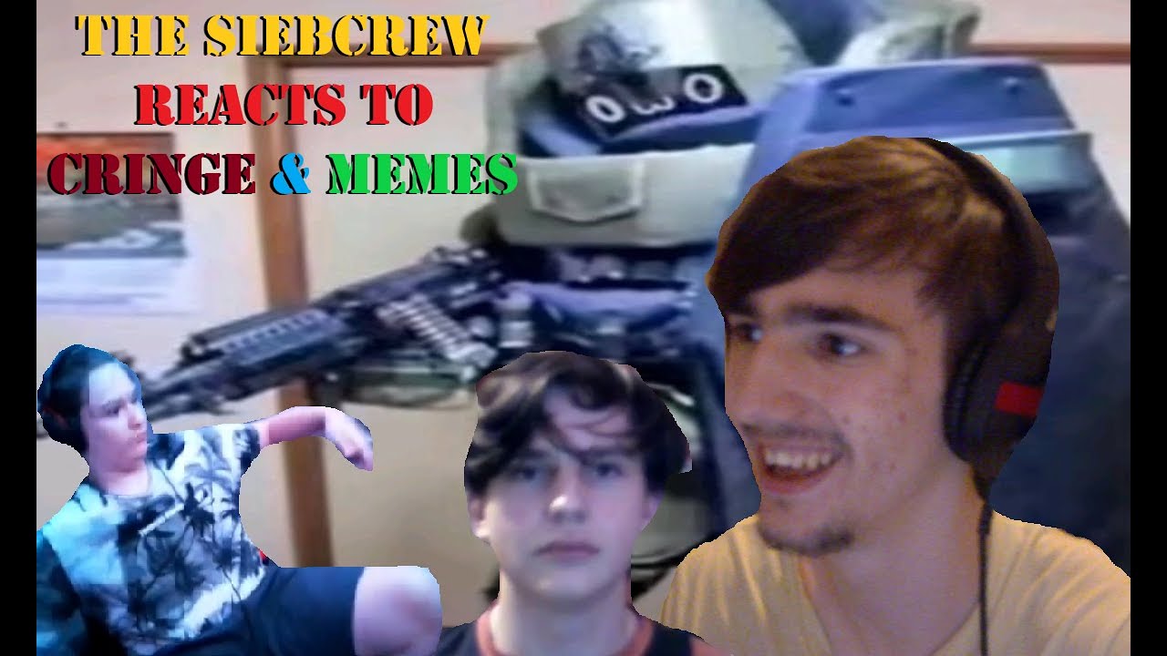 The Siebcrew Reacts to Cringe & Memes!
