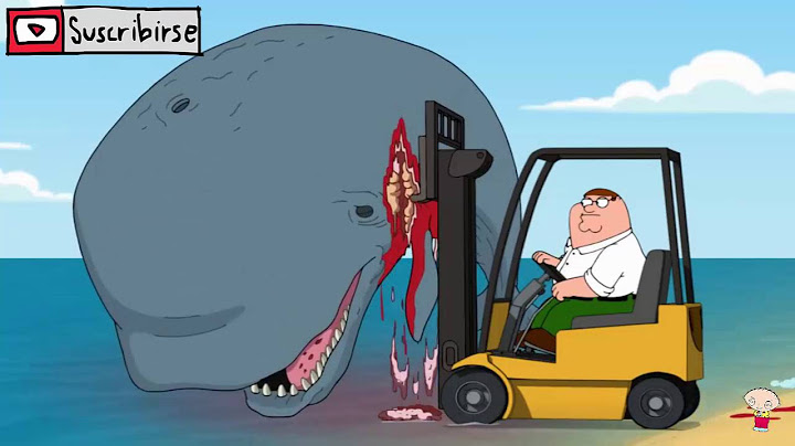 Ballena encallada y liberada por Peter [ Padre de Familia ]