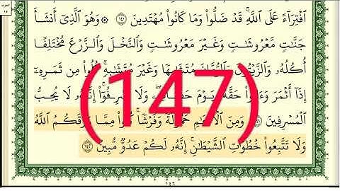 سورة الأنعام رقم الصفحة 147 مجود بصوت القارئ الشيخ أيمن سويد حفظه الله