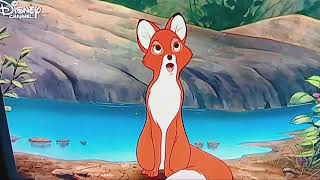 Cap Und Capper Disney 1981 - Cap Trifft Trixy 13