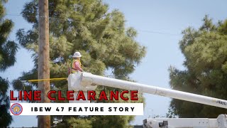 IBEW Local 47 Feature Story: Line Clearance