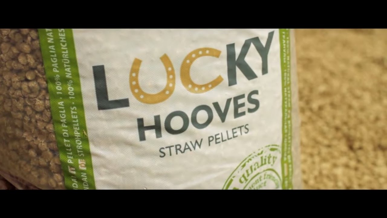 How to choose best quality straw pellets?