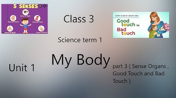 3rd std Science My Body part 3