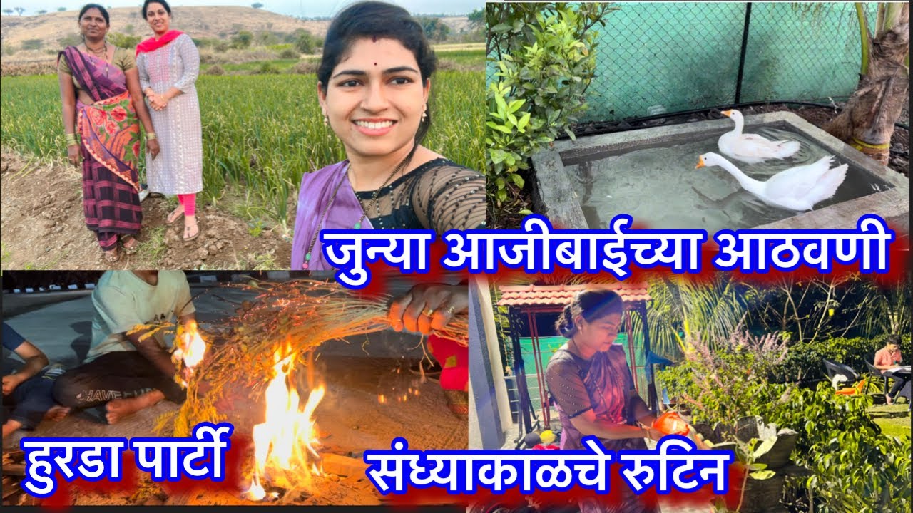 आज फौजीसाठी गेलो शेतात हुरडा आणायला || संद्याकाळचे  आमचे रूटिन || 9 बरसची खोल विहीर