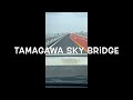 Tamagawa Sky Bridge