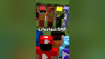 How I Joined The "Lifesteal SMP"