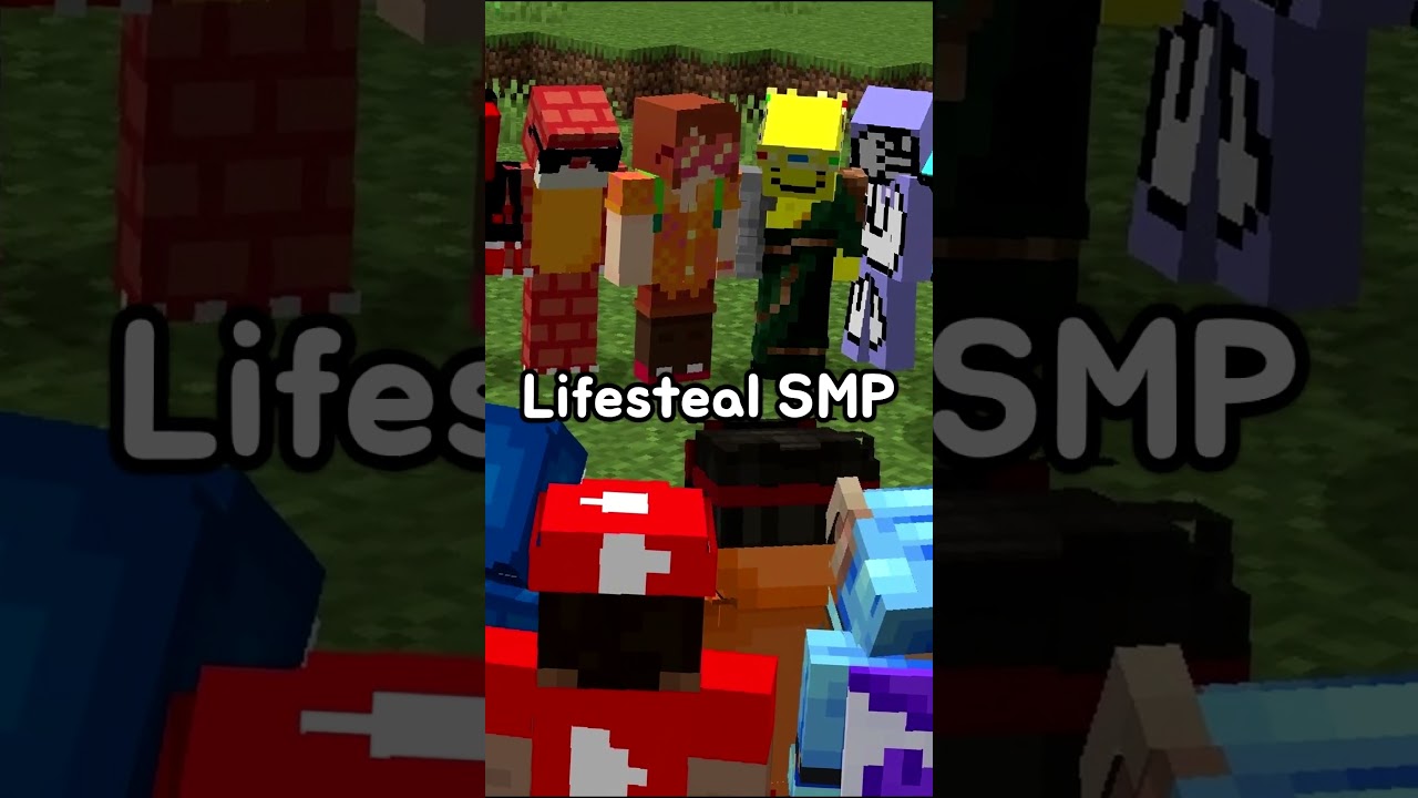 How I Joined The "Lifesteal SMP"