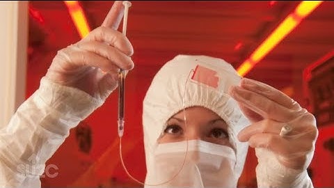 Where Your Money Goes: SU2C CTC Chip Dream Team Progress Report