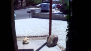 Code Name Bubble Gum Build Log Part 1